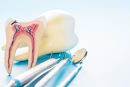 Milestones Children Family Dentistry